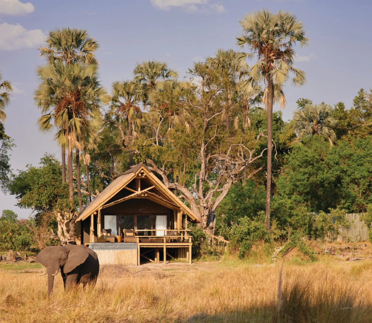 botswana-breakaway